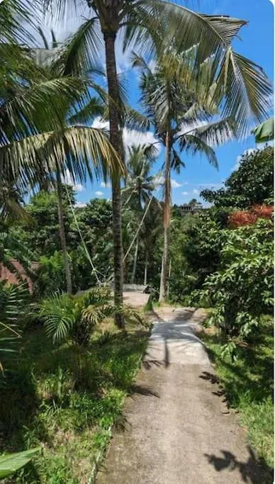 Sunset Jungle Villa By Rare Angon Ubud 0*, Ubud (Bali) Indonesia